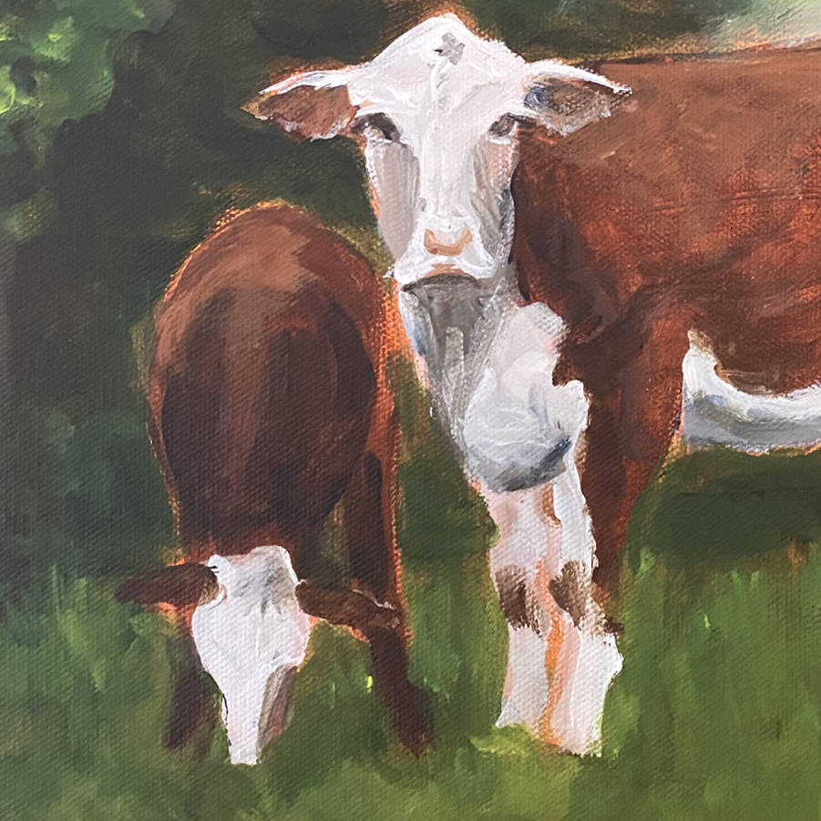 A group of cows standing in a forested area. One cow in the middle is looking directly at the viewer.