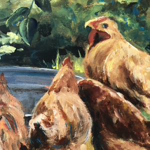 Five chickens around a steel drum of water. The chickens are all facing the drum. There is a lot of greenery around them.