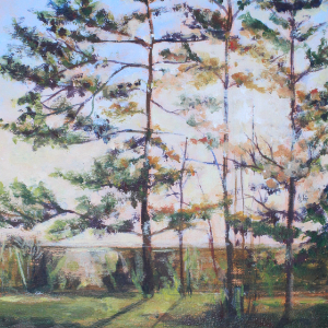 Light streaming through a group of trees on an early spring evening.
