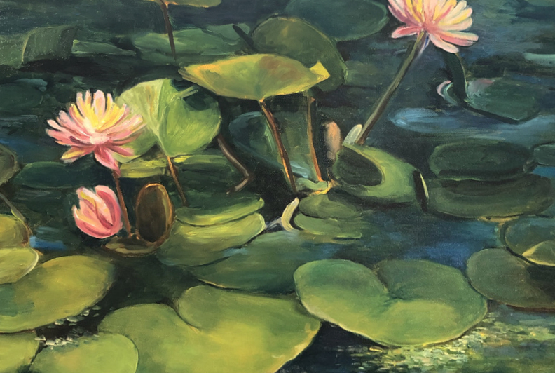Large group of waterlillies in a pond. There are three tall peachy-pink coloured blooms that stand out from the surface of the water. The water is a dark blueish green and the lilly pads are green with brighter chartreuse highlights.