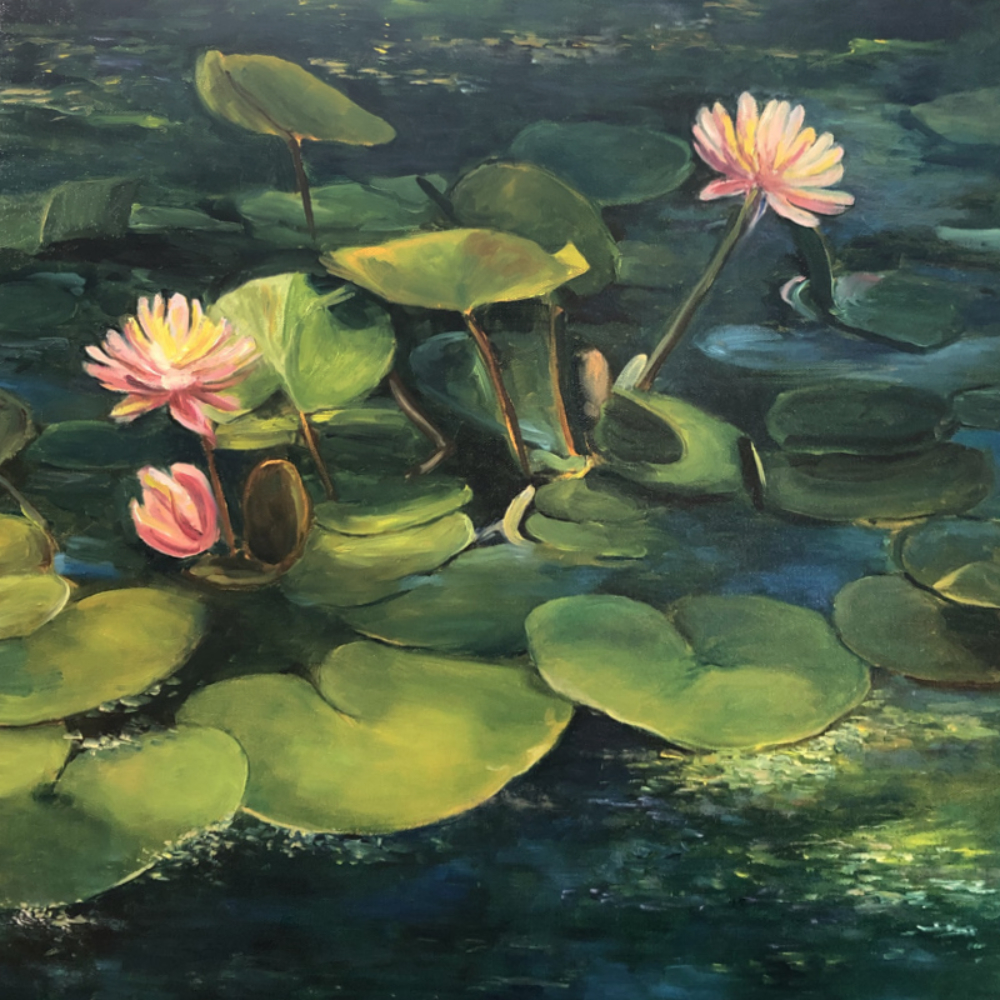 Large group of waterlillies in a pond. There are three tall peachy-pink coloured blooms that stand out from the surface of the water. The water is a dark blueish green and the lilly pads are green with brighter chartreuse highlights.