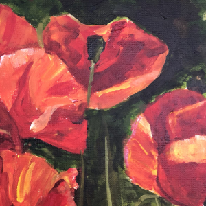 Reddish orange poppies poking up against a green background.